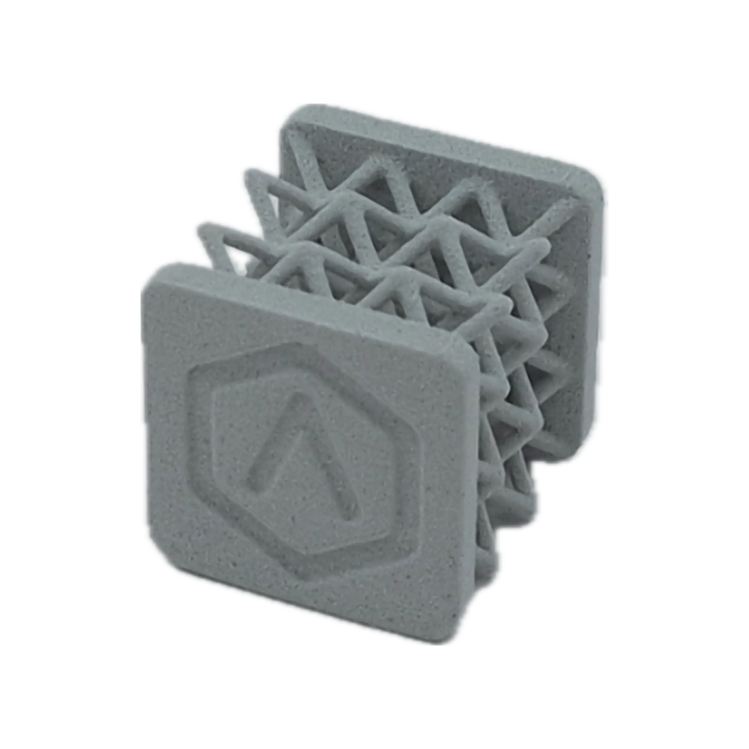 Raise3D RMS220 サンプル